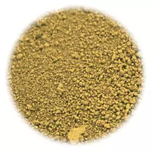 Seductive Foundation