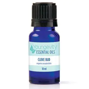 Clove Bud Essential Oil - 10ml