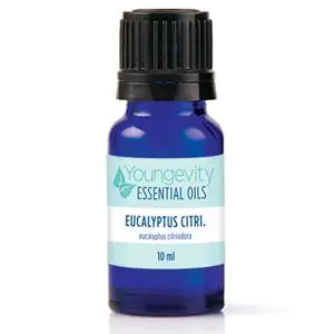 Eucalyptus Citriodora Essential Oil - 10 ml